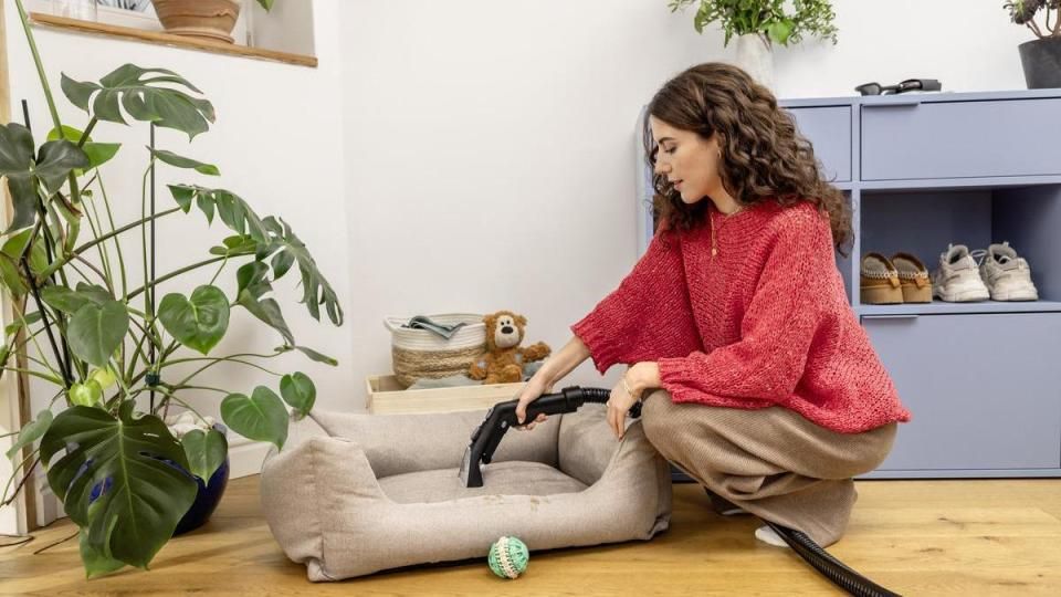 SZŐNYEG- ÉS KÁRPITTISZTÍTÓ